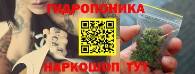 Альфа ПВП Моздок