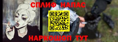 Альфа ПВП Моздок