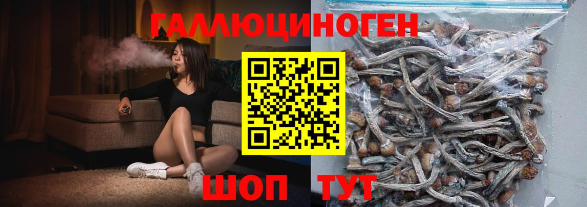Псилоцибиновые грибы ЛСД Феодосия